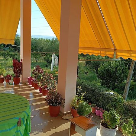 Guest House Fetie Berat Zewnętrze zdjęcie