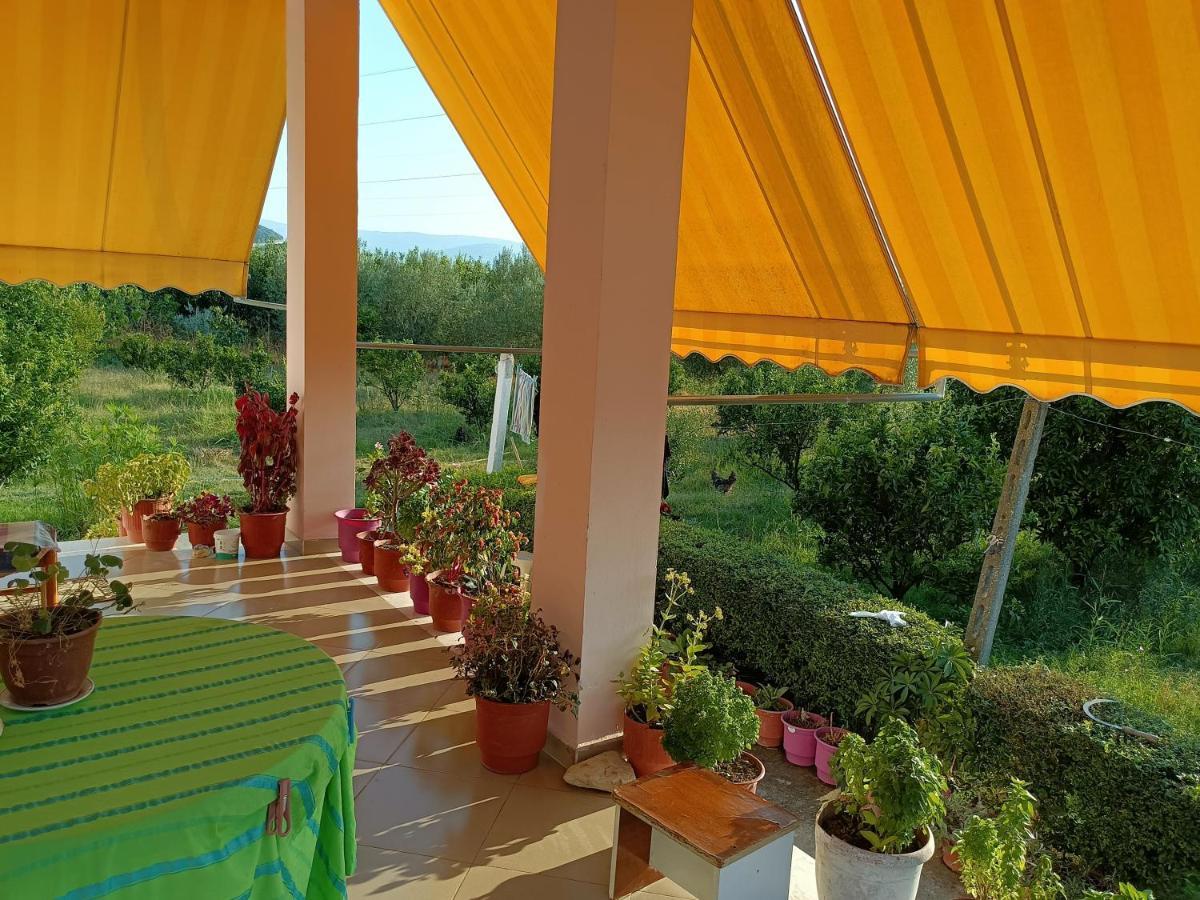 Guest House Fetie Berat Zewnętrze zdjęcie